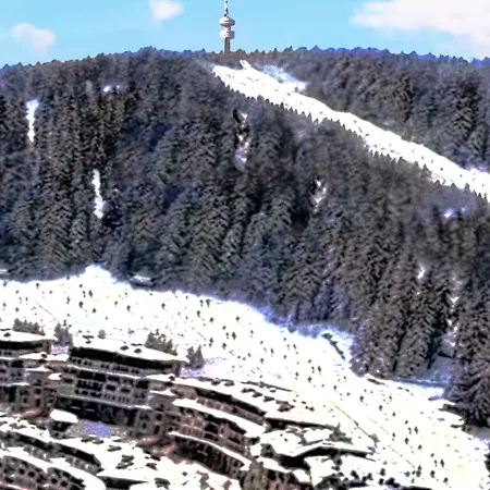 Arendo Snow In Grand Monastery * Pamporowo
